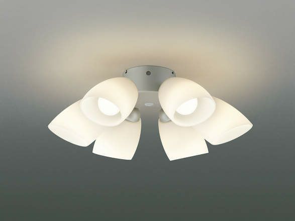 AA41899L / AA41899L(N) コイズミ製シーリングファンライト【生産終了品】 メイン画像