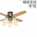 TLFR5010 タキズミ製シーリングファンライト メイン画像
