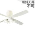 XS70025/SP7070 + SPL5425LE1 パナソニック製シーリングファンライト メイン画像
