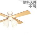 BIG-101WH 阪和製シーリングファンライト メイン画像
