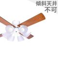 BIG-102WH + LD2602 / ND2602 阪和製シーリングファンライト メイン画像