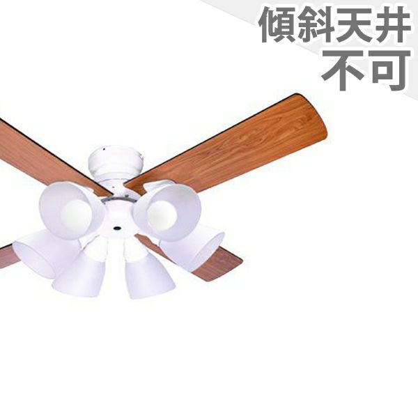 BIG-102WH + LD2602 / ND2602 阪和製シーリングファンライト メイン画像