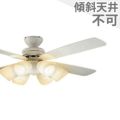 YCF-101WSS ダイコー製シーリングファンライト【生産終了品】 メイン画像