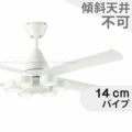 DCH-41041Y ダイコー製シーリングファンライト メイン画像