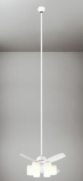 WF499 + WF494LD / WF494ND + WF596 オーデリック製シーリングファンライト【生産終了品】 メイン画像