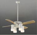 AEE695071 + AA35170L + AEE590057 + AEE690110 コイズミ製シーリングファンライト【生産終了品】 メイン画像