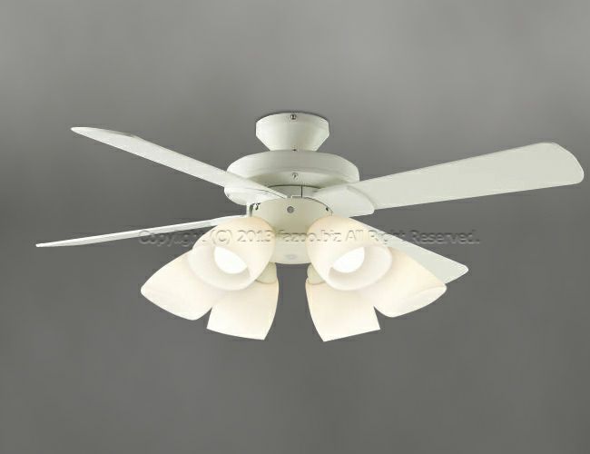 AEE695070 + AA40373L コイズミ製シーリングファンライト【生産終了品】 メイン画像