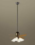 XS78572/SP7078 + SPE5472E + SPK103 + SPK073 パナソニック製シーリングファンライト【生産終了品】 メイン画像
