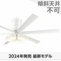 WF237P1 + WF257PR オーデリック製シーリングファンライト メイン画像