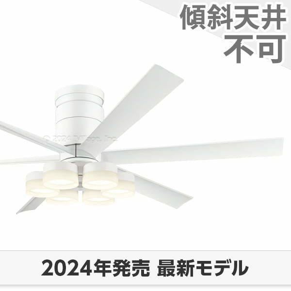 WF237P1 + WF257PR オーデリック製シーリングファンライト メイン画像
