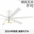 WF237P1 + WF258PR オーデリック製シーリングファンライト メイン画像