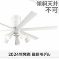 WF237P1 + WF278PR1 オーデリック製シーリングファンライト メイン画像