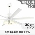 WF239P1 + WF258PR + WF731P1 オーデリック製シーリングファンライト メイン画像