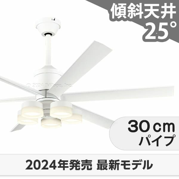 WF239P1 + WF258PR + WF731P1 オーデリック製シーリングファンライト メイン画像