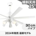 WF239P1 + WF278PR1 + WF731P1 オーデリック製シーリングファンライト メイン画像