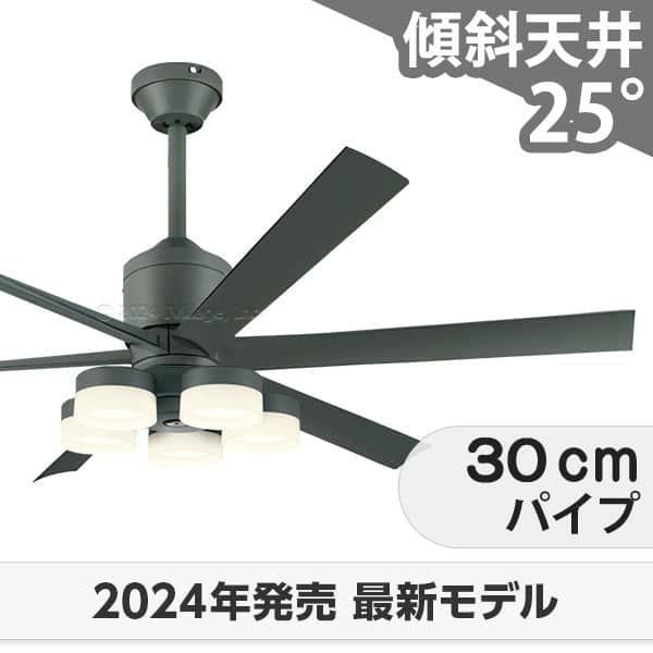 WF249P1 + WF260PR + WF737P1 オーデリック製シーリングファンライト メイン画像