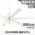 WF239P1 + WF257PR + WF736P1 オーデリック製シーリングファンライト メイン画像