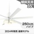 WF239P1 + WF258PR + WF736P1 オーデリック製シーリングファンライト メイン画像