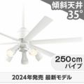 WF239P1 + WF278PR1 + WF736P1 オーデリック製シーリングファンライト メイン画像