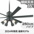 WF249P1 + WF279PR + WF742P1 オーデリック製シーリングファンライト メイン画像