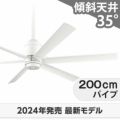 WF239P1 + WF735P1 オーデリック製シーリングファン メイン画像