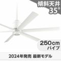 WF239P1 + WF736P1 オーデリック製シーリングファン メイン画像