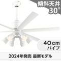 WF239P1 + WF277PR1 + WF732P1C オーデリック製シーリングファンライト メイン画像