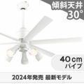 WF239P1 + WF278PR1 + WF732P1C オーデリック製シーリングファンライト メイン画像