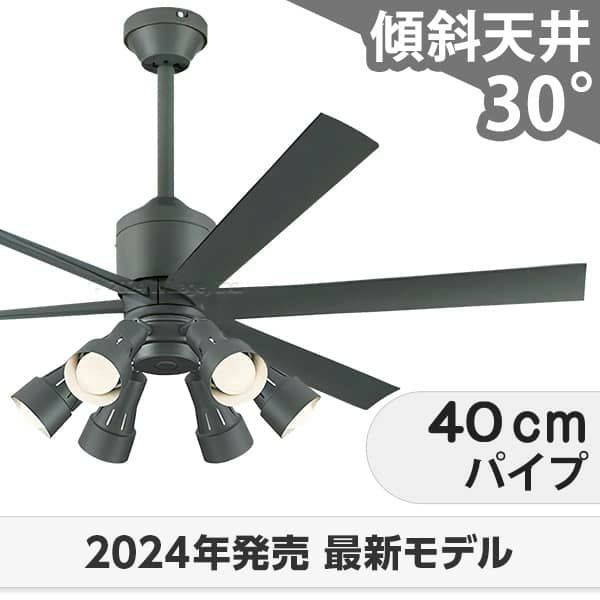 WF249P1 + WF279PR + WF738P1C オーデリック製シーリングファンライト メイン画像