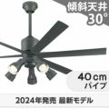 WF249P1 + WF280PR + WF738P1C オーデリック製シーリングファンライト メイン画像