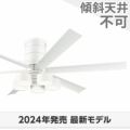 WF237P1 + WF288PR オーデリック製シーリングファンライト メイン画像