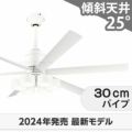 WF239P1 + WF287PR + WF731P1 オーデリック製シーリングファンライト メイン画像