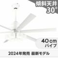 WF239P1 + WF287PR + WF732P1C オーデリック製シーリングファンライト メイン画像