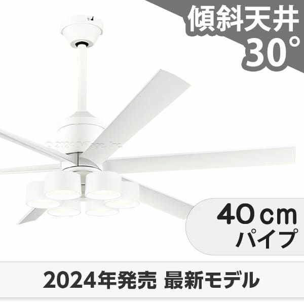 WF239P1 + WF287PR + WF732P1C オーデリック製シーリングファンライト メイン画像