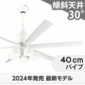 WF239P1 + WF288PR + WF732P1C オーデリック製シーリングファンライト メイン画像