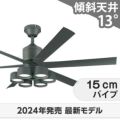 WF249P1 + WF289PR オーデリック製シーリングファンライト メイン画像