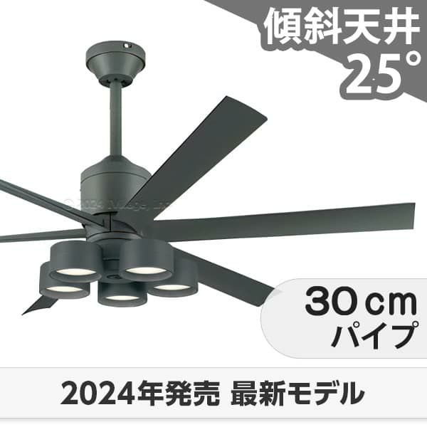 WF249P1 + WF290PR + WF737P1 オーデリック製シーリングファンライト メイン画像