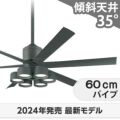 WF249P1 + WF289PR + WF738P1 オーデリック製シーリングファンライト メイン画像