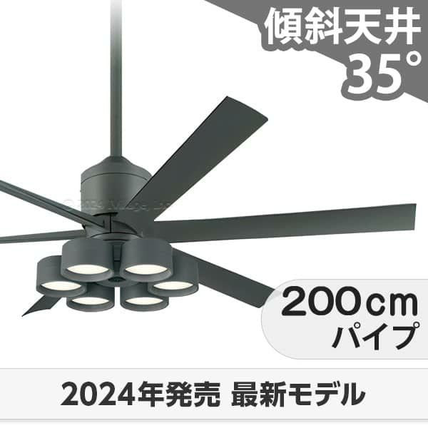 WF249P1 + WF289PR + WF741P1 オーデリック製シーリングファンライト メイン画像