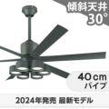 WF249P1 + WF289PR + WF738P1C オーデリック製シーリングファンライト メイン画像