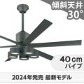 WF249P1 + WF290PR + WF738P1C オーデリック製シーリングファンライト メイン画像