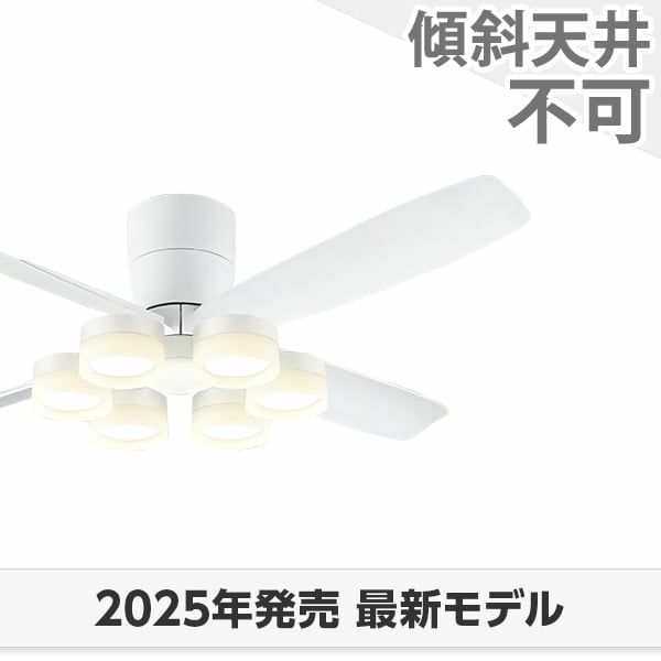 WF812P1 + WF297LR / WF297NR / WF297WR オーデリック製シーリングファンライト メイン画像