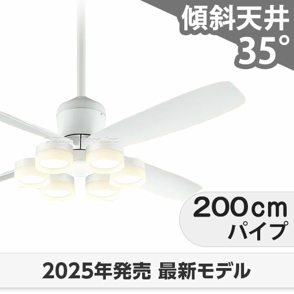 WF813P2 + WF297LR / WF297NR / WF297WR + WF735P1 オーデリック製シーリングファンライト メイン画像