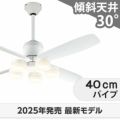 WF813P2 + WF298LR / WF298NR / WF298WR + WF732P1C オーデリック製シーリングファンライト メイン画像