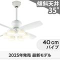 WF811P2 + WF297LR / WF297NR / WF297WR + WF732P1C オーデリック製シーリングファンライト メイン画像
