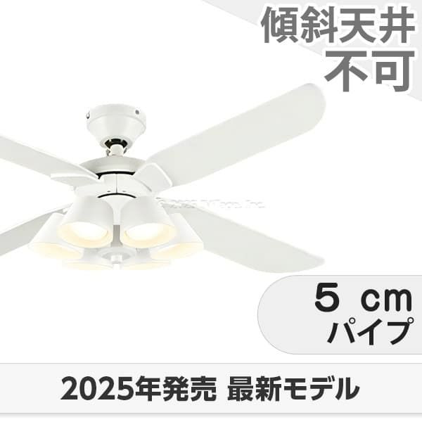 WF054 + WF226LR / WF226NR / WF226WR オーデリック製シーリングファンライト メイン画像