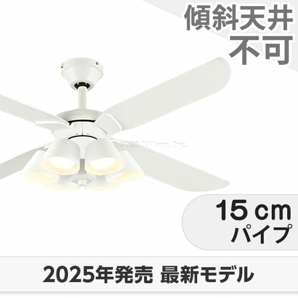 WF054 + WF226LR / WF226NR / WF226WR + WF972P1 オーデリック製シーリングファンライト メイン画像