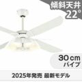 WF054 + WF226LR / WF226NR / WF226WR + WF973P1 オーデリック製シーリングファンライト メイン画像