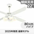 WF054 + WF227LR / WF227NR / WF227WR + WF973P1 オーデリック製シーリングファンライト メイン画像