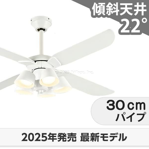 WF054 + WF227LR / WF227NR / WF227WR + WF973P1 オーデリック製シーリングファンライト メイン画像